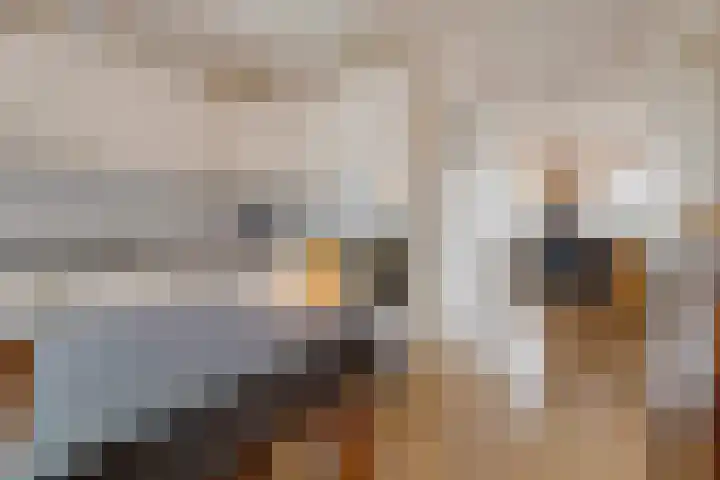 Krabbescheer 12 Nieuw-Buinen thumbnail 23