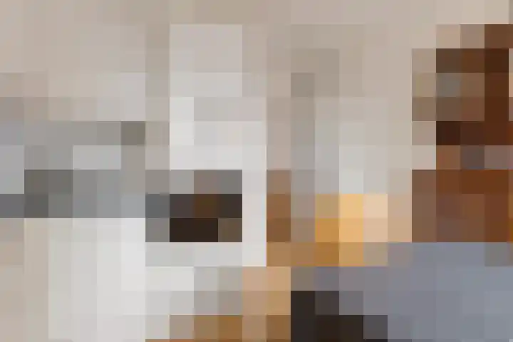 Krabbescheer 12 Nieuw-Buinen thumbnail 24