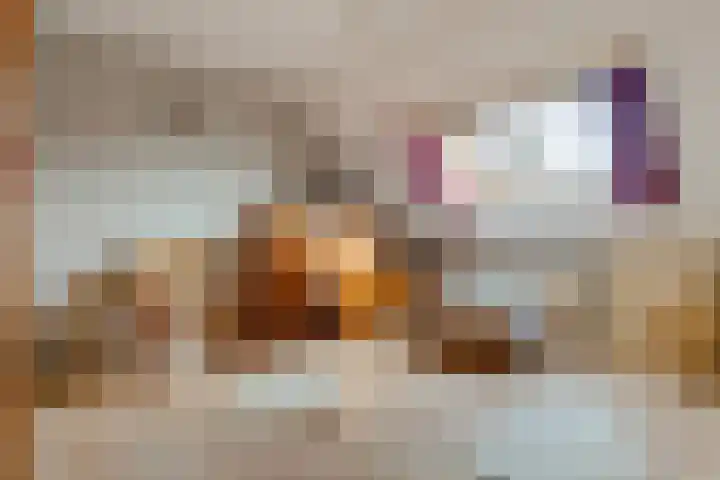 Krabbescheer 12 Nieuw-Buinen thumbnail 25