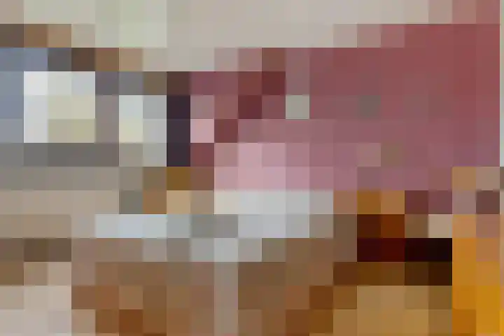 Krabbescheer 12 Nieuw-Buinen thumbnail 27