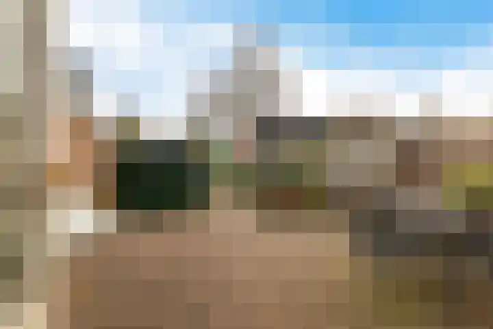 Krabbescheer 12 Nieuw-Buinen thumbnail 33