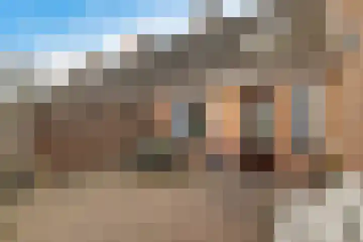 Krabbescheer 12 Nieuw-Buinen thumbnail 34