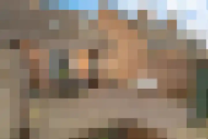 Krabbescheer 12 Nieuw-Buinen thumbnail 35