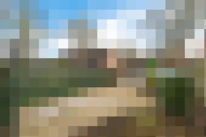 Krabbescheer 12 Nieuw-Buinen thumbnail 36