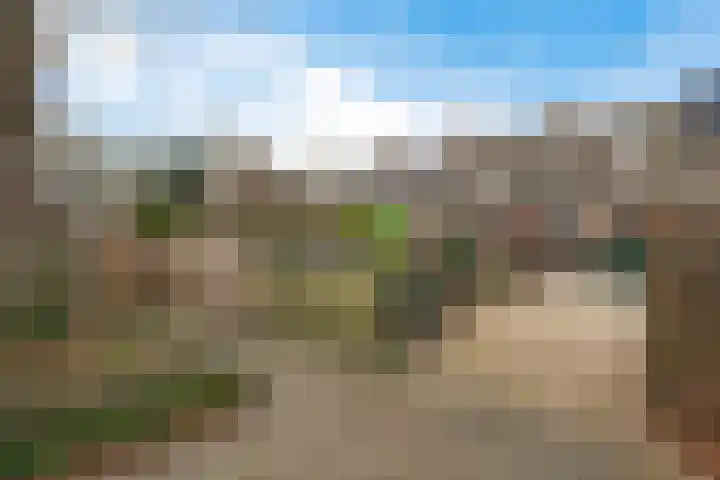 Krabbescheer 12 Nieuw-Buinen thumbnail 37