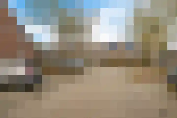 Krabbescheer 12 Nieuw-Buinen thumbnail 38