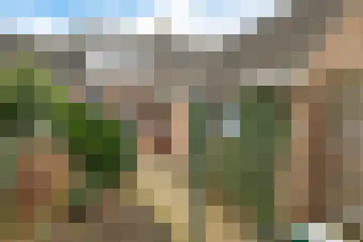 Krabbescheer 12 Nieuw-Buinen thumbnail 4