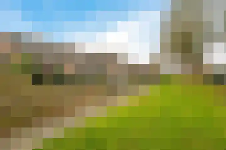 Krabbescheer 12 Nieuw-Buinen thumbnail 5