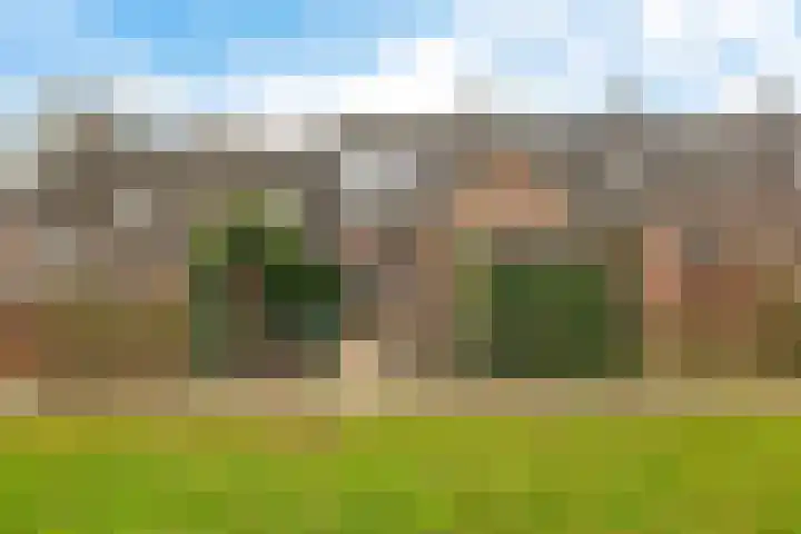 Krabbescheer 12 Nieuw-Buinen thumbnail 6