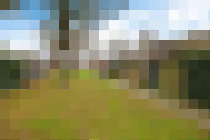 Krabbescheer 12 Nieuw-Buinen thumbnail 7