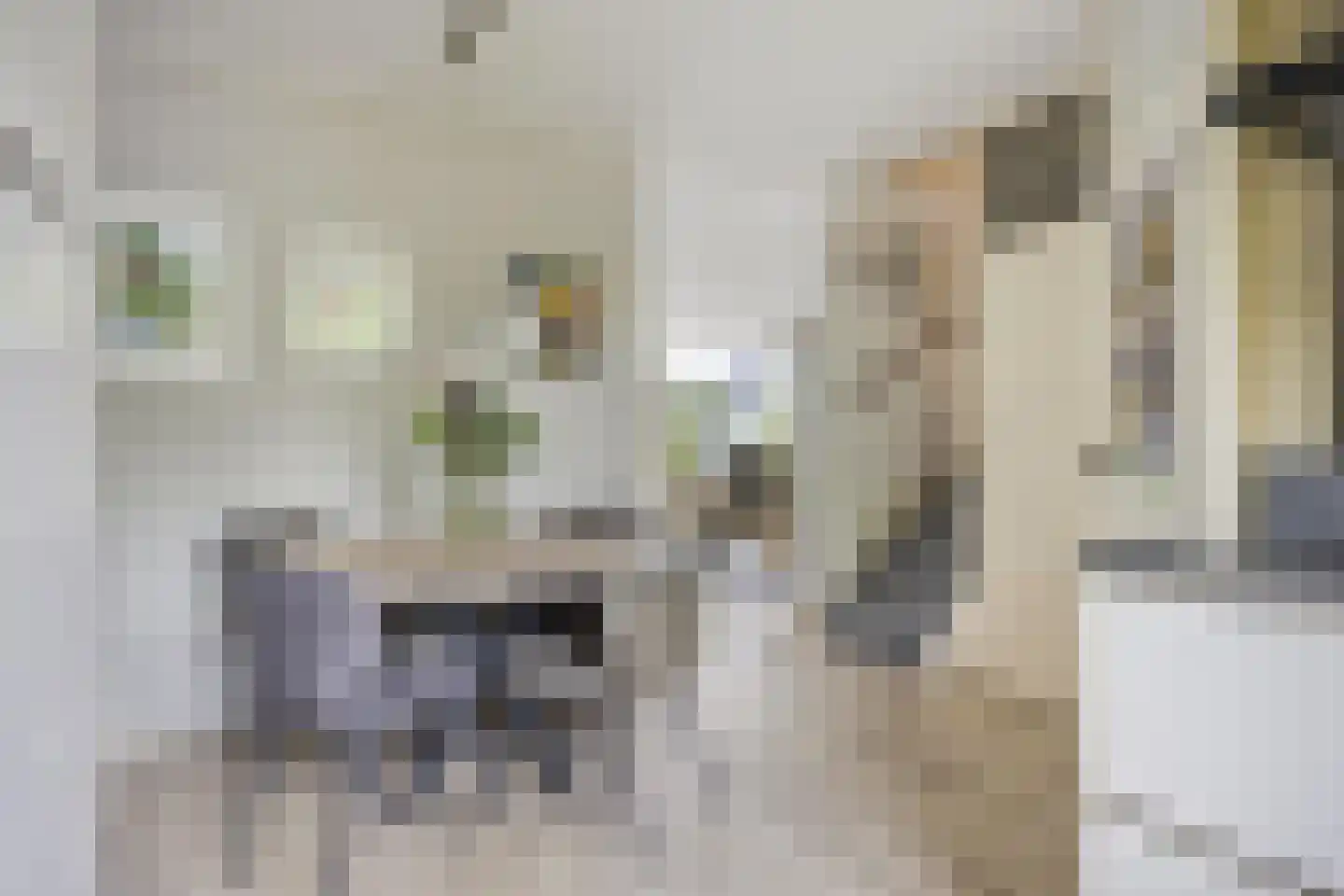 Krabbescheer 30 Kampen thumbnail 10