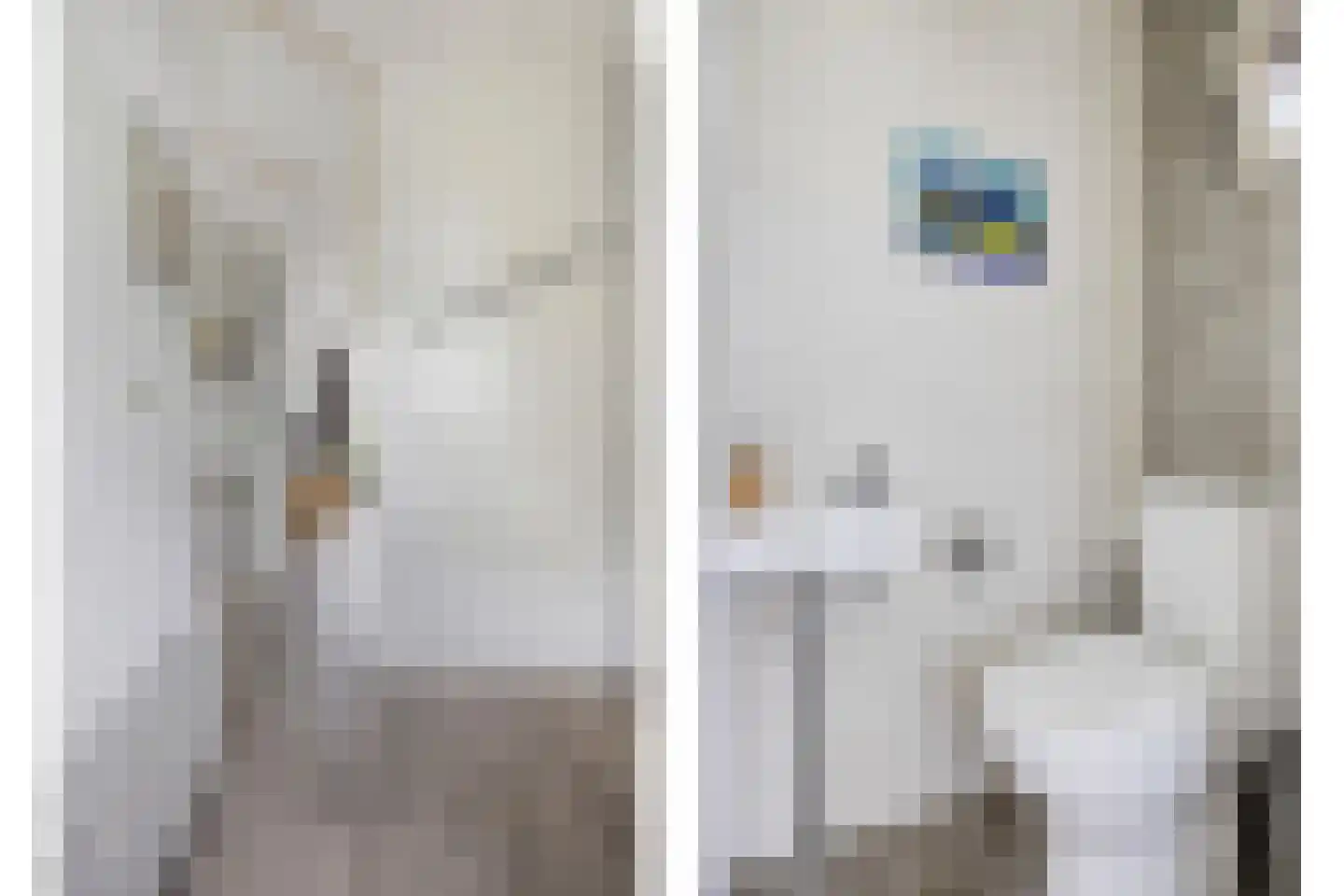 Krabbescheer 30 Kampen thumbnail 11