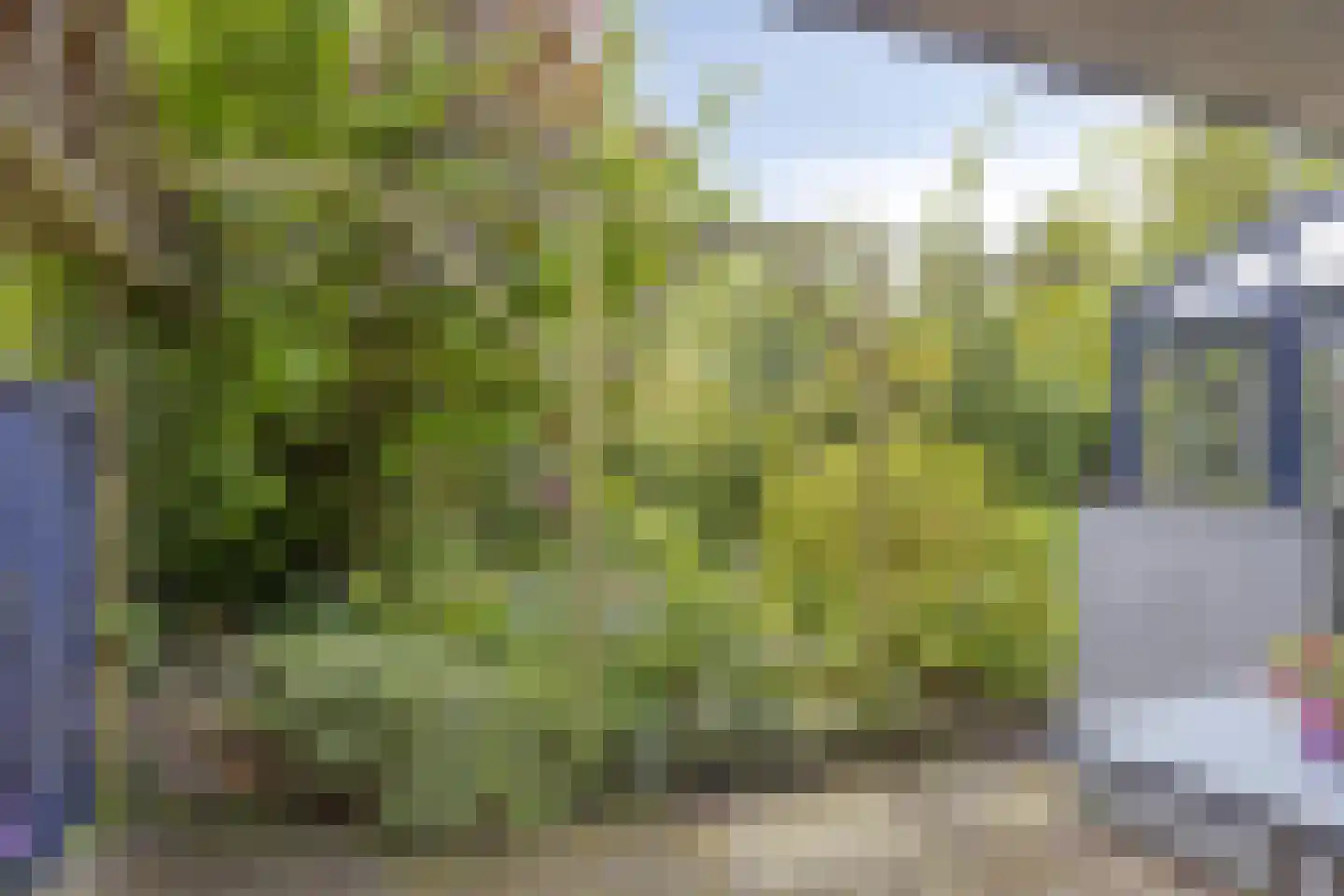 Krabbescheer 30 Kampen thumbnail 23