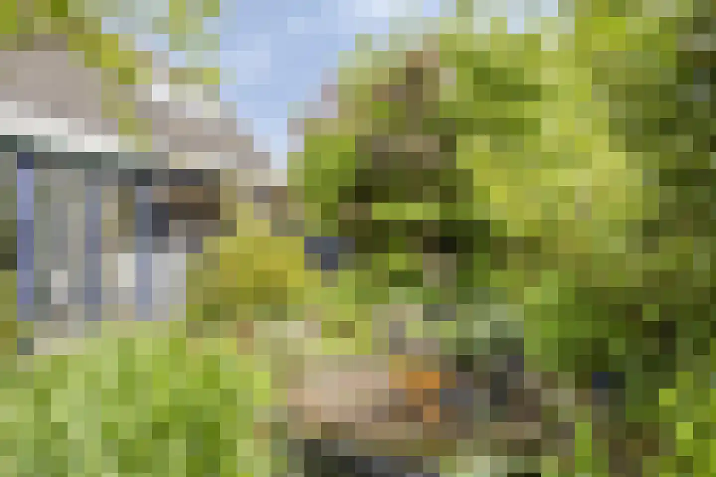 Krabbescheer 30 Kampen thumbnail 26
