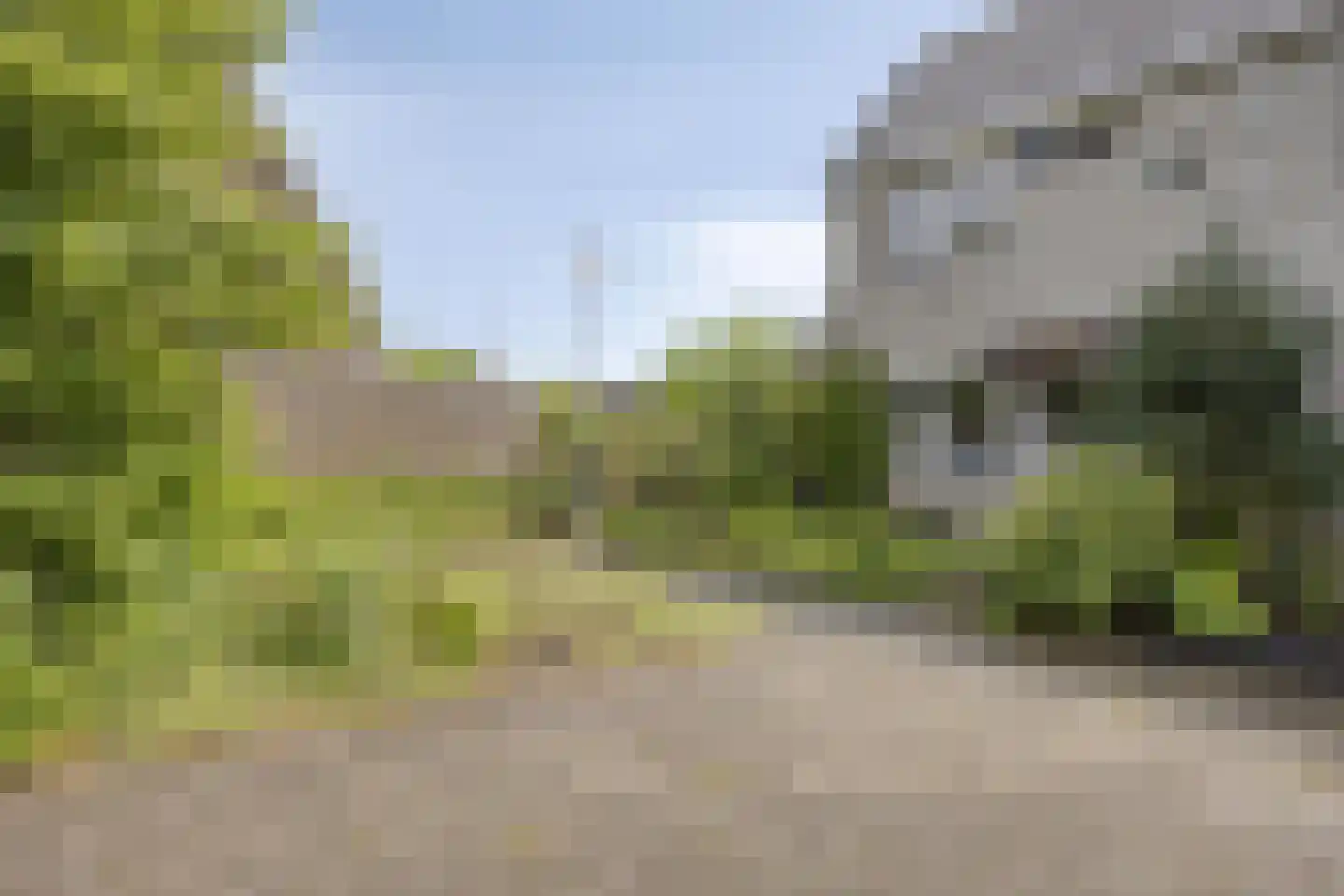 Krabbescheer 30 Kampen thumbnail 30