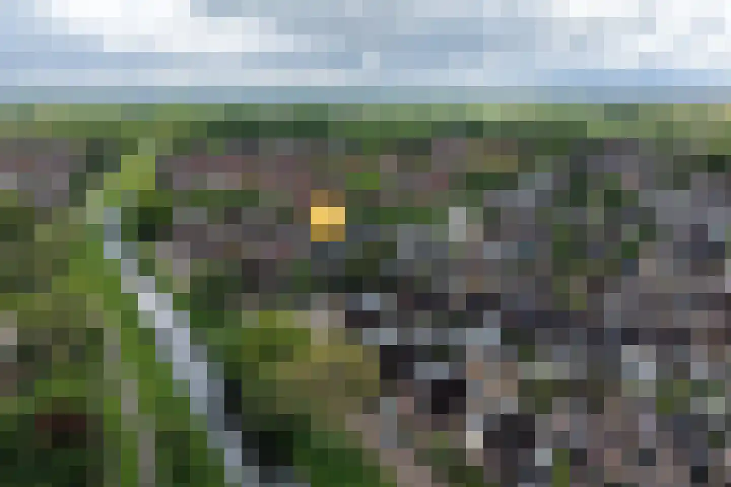 Krabbescheer 30 Kampen thumbnail 32
