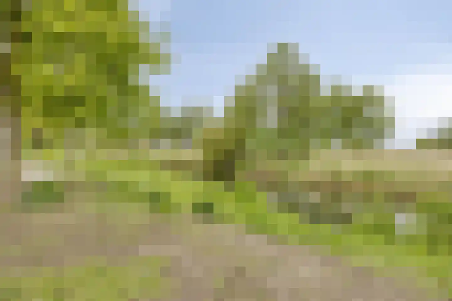 Krabbescheer 30 Kampen thumbnail 35