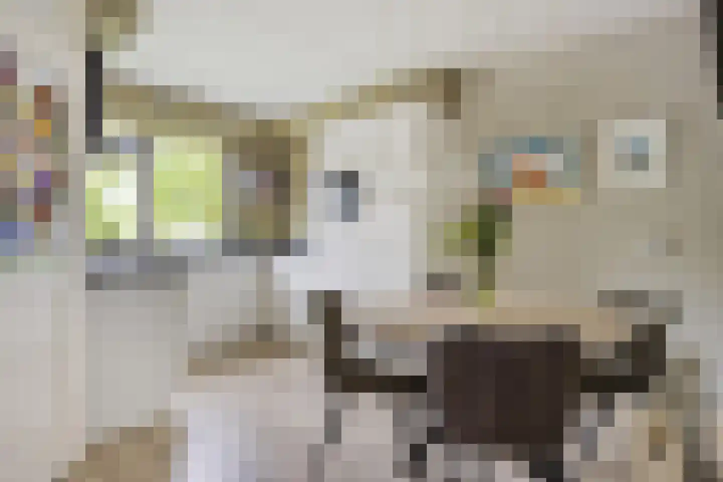 Krabbescheer 30 Kampen thumbnail 7