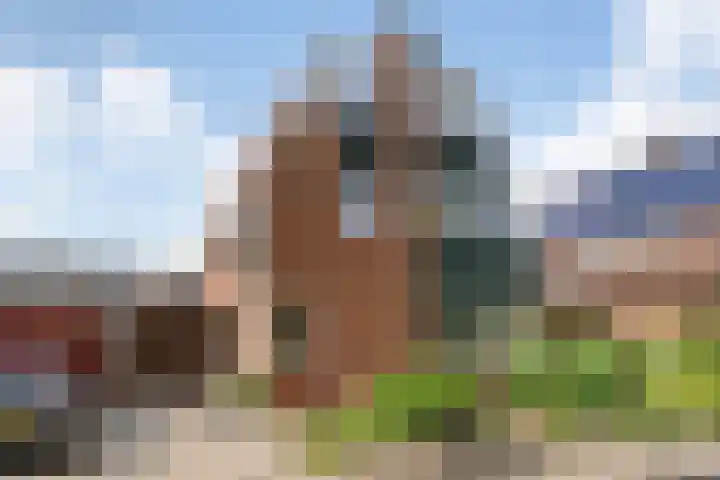 Krabbescheer 33 Kampen
