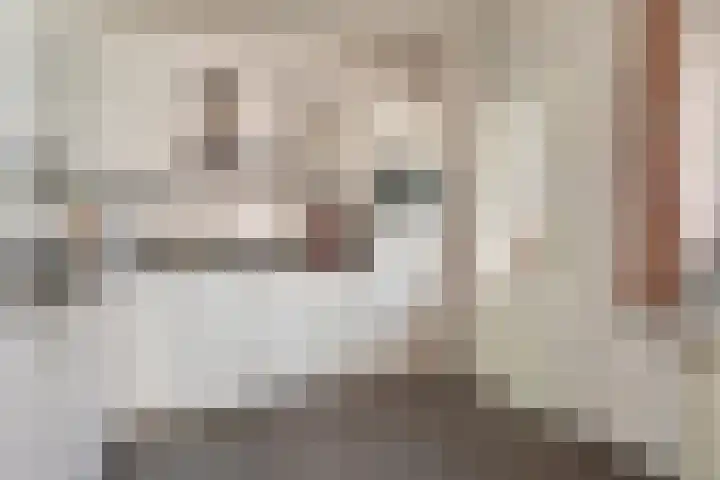 Krabbescheer 33 Kampen thumbnail 11