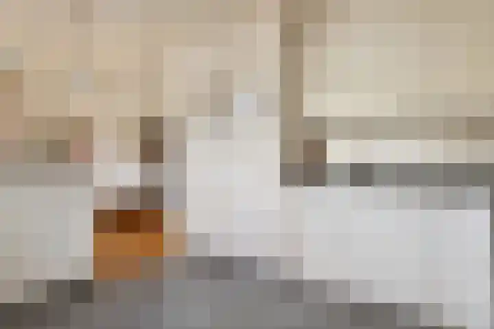 Krabbescheer 33 Kampen thumbnail 13