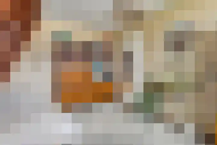 Krabbescheer 33 Kampen thumbnail 17