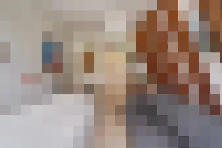 Krabbescheer 33 Kampen thumbnail 22
