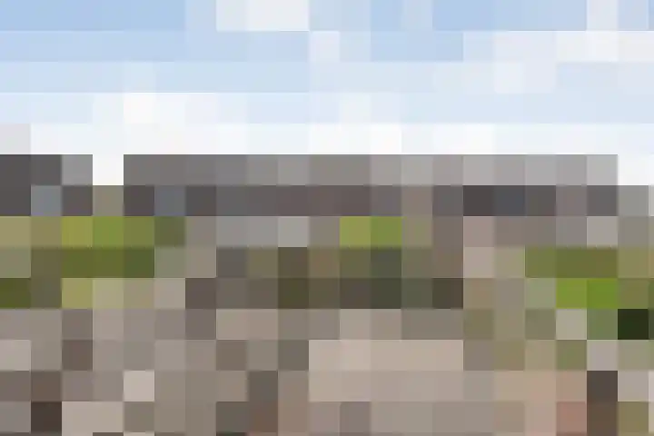 Krabbescheer 33 Kampen thumbnail 26