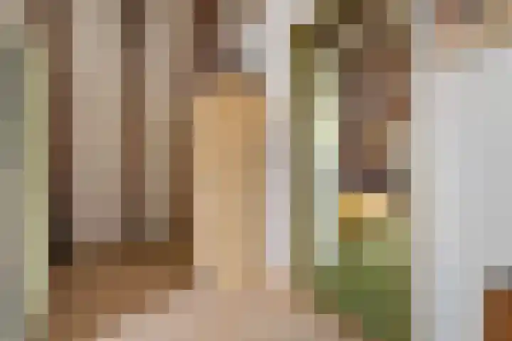 Krabbescheer 33 Kampen thumbnail 27