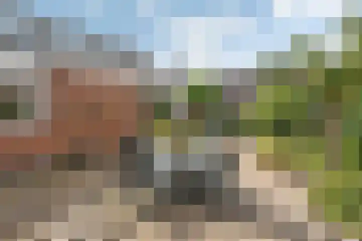Krabbescheer 33 Kampen thumbnail 31