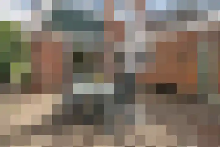 Krabbescheer 33 Kampen thumbnail 32