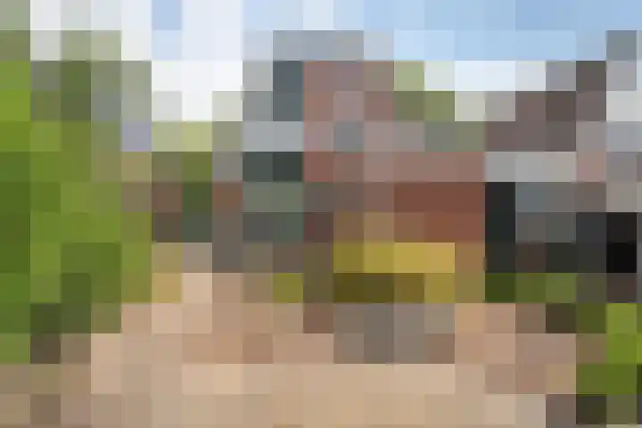 Krabbescheer 33 Kampen thumbnail 33