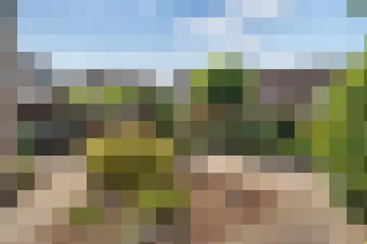 Krabbescheer 33 Kampen thumbnail 34