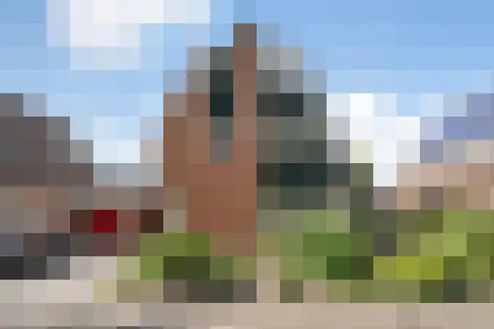 Krabbescheer 33 Kampen thumbnail 35