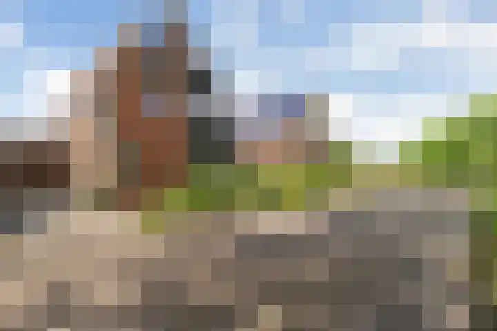 Krabbescheer 33 Kampen thumbnail 36