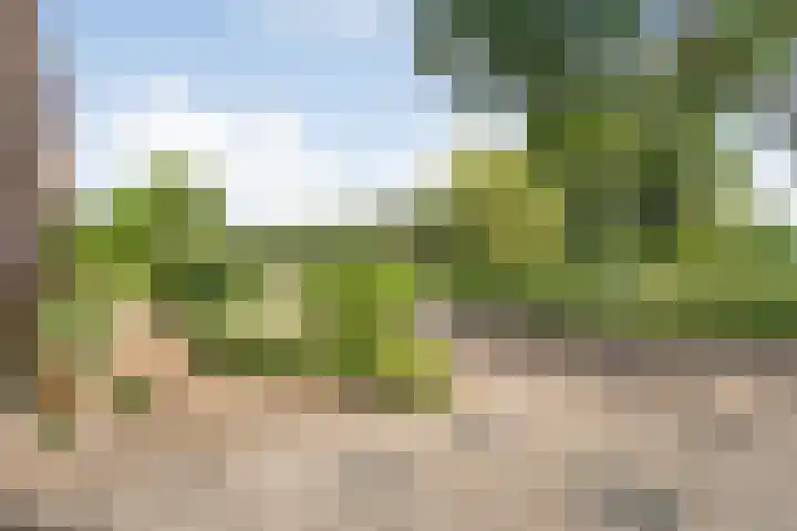 Krabbescheer 33 Kampen thumbnail 38