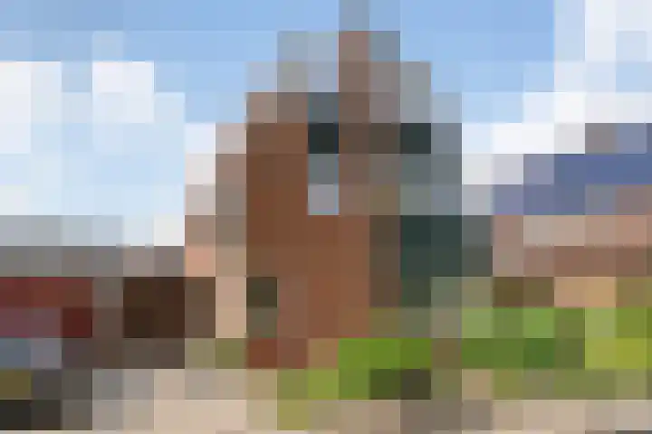 Krabbescheer 33 Kampen thumbnail 42
