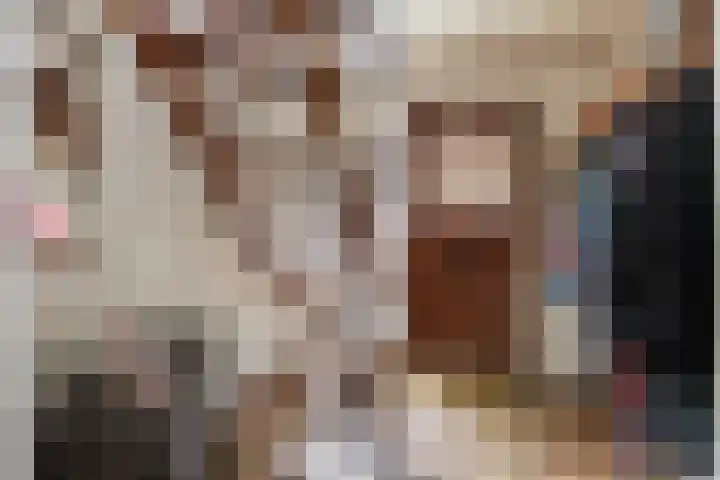 Krabbescheer 33 Kampen thumbnail 5