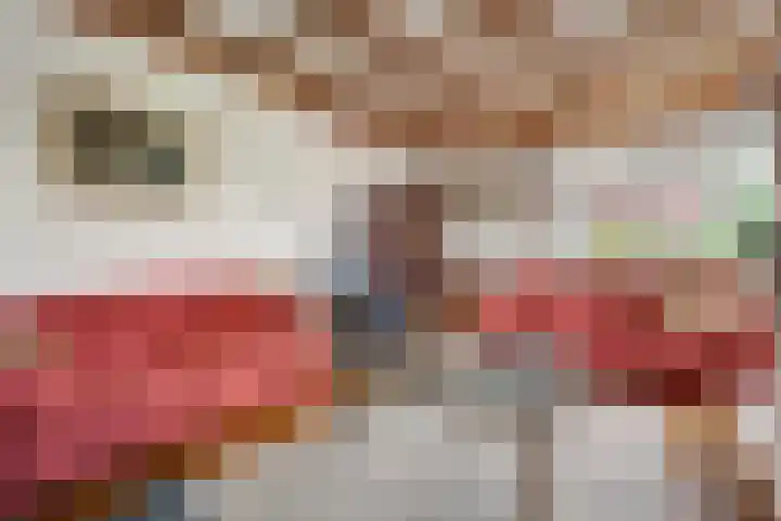 Krabbescheer 33 Kampen thumbnail 9