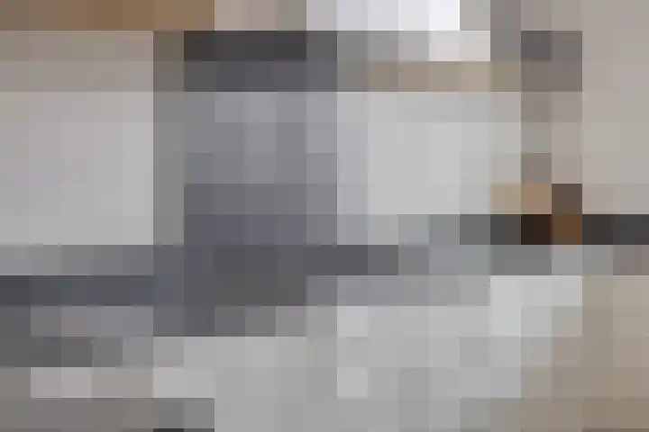 Krabbescheer 34 Alphen aan den Rijn thumbnail 10