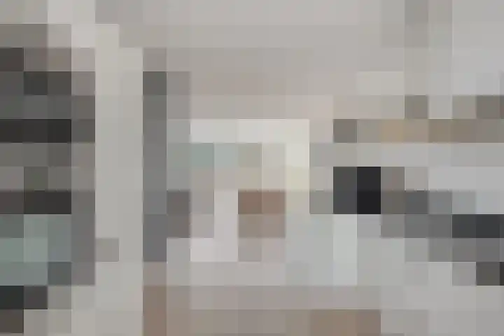 Krabbescheer 34 Alphen aan den Rijn thumbnail 12