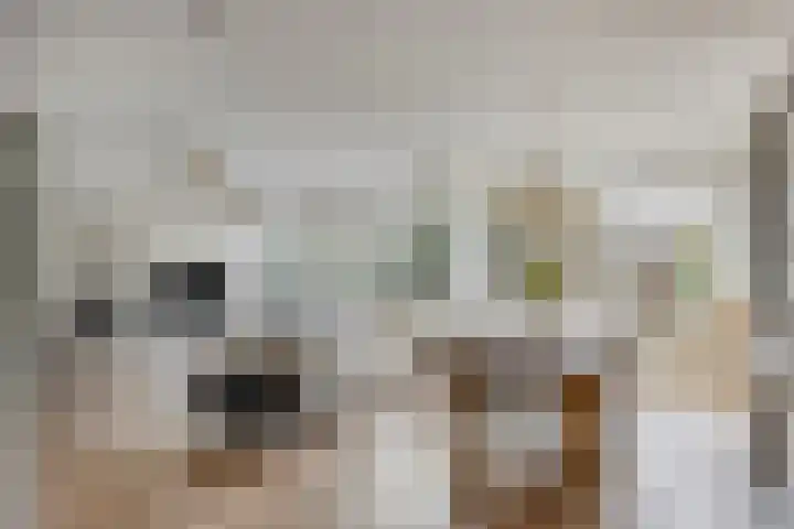 Krabbescheer 34 Alphen aan den Rijn thumbnail 13