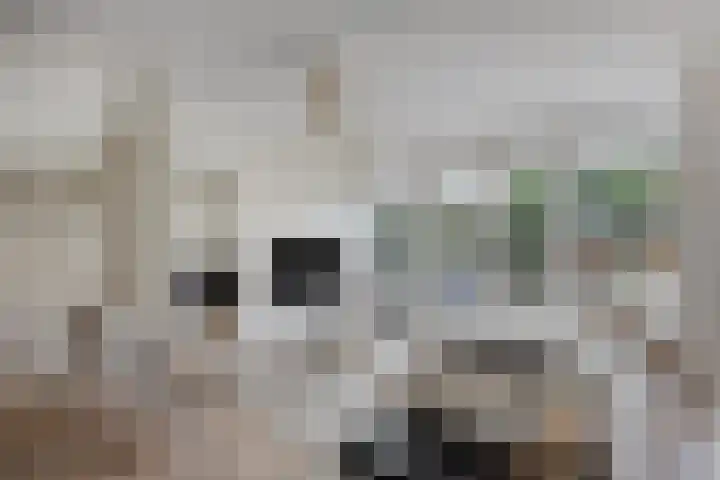 Krabbescheer 34 Alphen aan den Rijn thumbnail 16