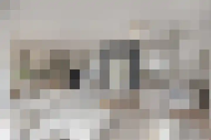 Krabbescheer 34 Alphen aan den Rijn thumbnail 17