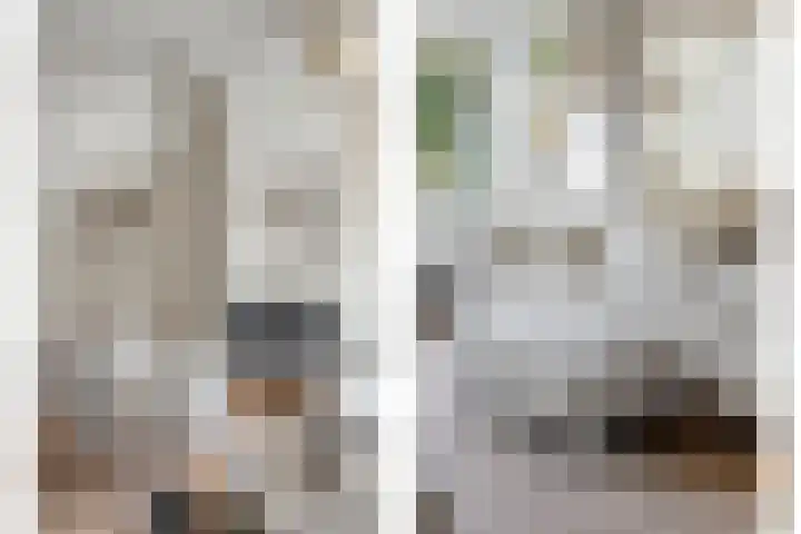 Krabbescheer 34 Alphen aan den Rijn thumbnail 18