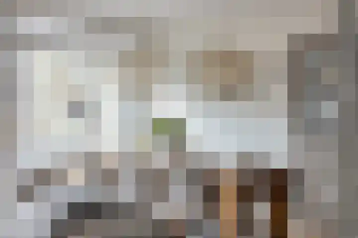 Krabbescheer 34 Alphen aan den Rijn thumbnail 19