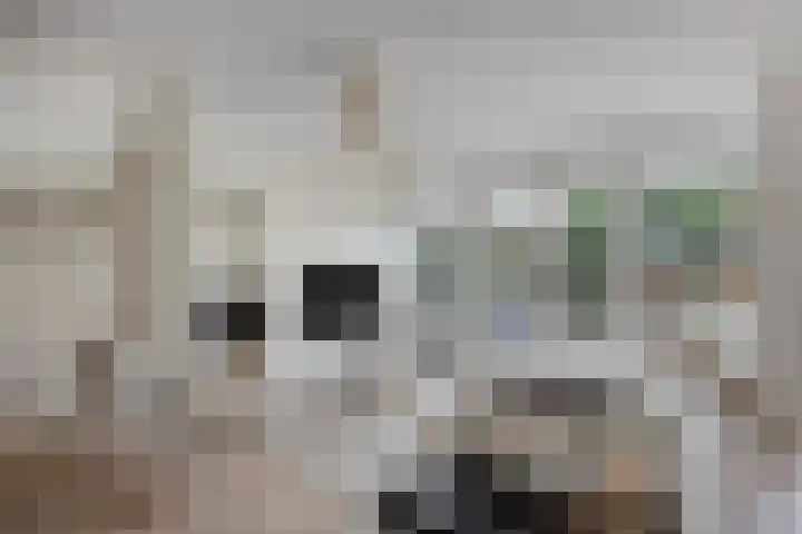 Krabbescheer 34 Alphen aan den Rijn foto 2