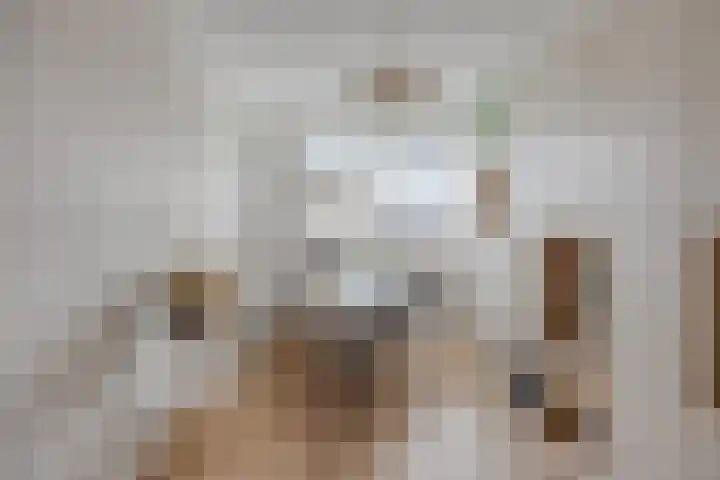 Krabbescheer 34 Alphen aan den Rijn thumbnail 20