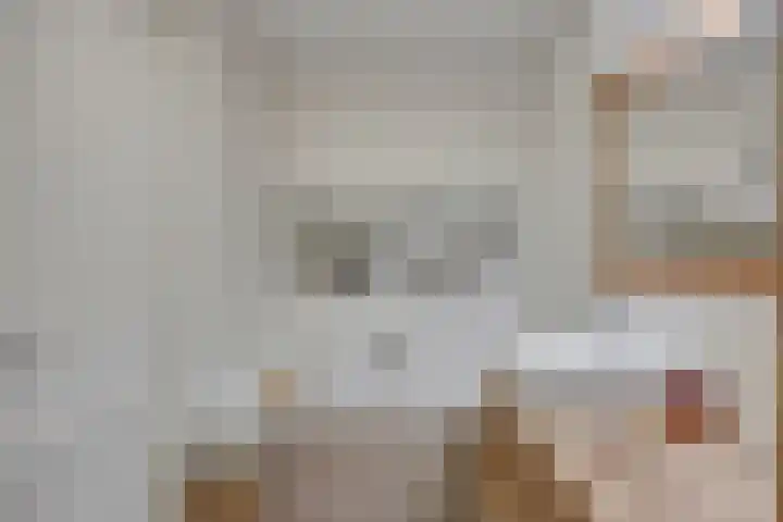 Krabbescheer 34 Alphen aan den Rijn thumbnail 28