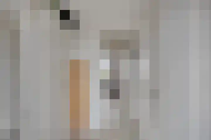 Krabbescheer 34 Alphen aan den Rijn thumbnail 33